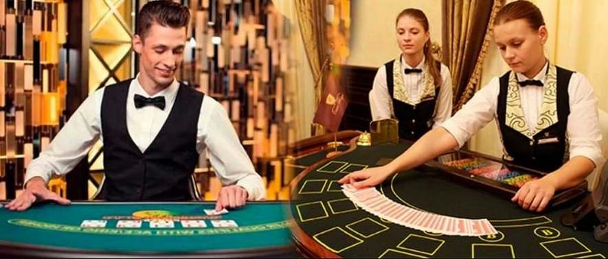 Внешний вид дилера There is a dress code for male and female dealers.